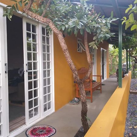 Jardim Da Lila - Um Recanto De Paz Em Alto Paraiso Alto Paraíso de Goiás Bagian luar foto